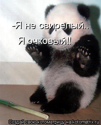 -Я не свирепый.. Я очковый!!... Котоматрица: -Я не свирепый.. Я очковый!!