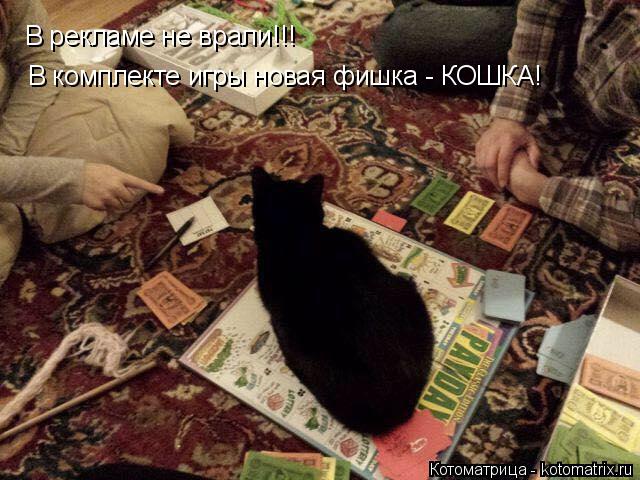 В рекламе не врали!!! В комплекте игры новая фишка - КОШКА!... Котоматрица: В рекламе не врали!!! В комплекте игры новая фишка - КОШКА!