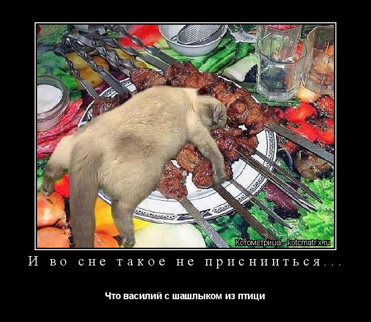 И во сне такое не приснииться... Что василий с шашлыком из птици... Котоматрица: И во сне такое не приснииться... Что василий с шашлыком из птици