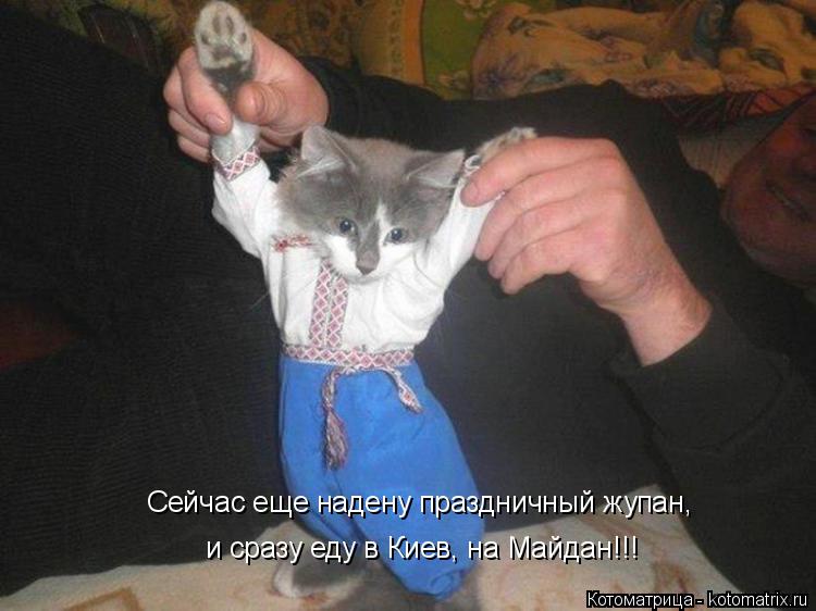 Сейчас еще надену праздничный жупан, и сразу еду в Киев, на Майдан!!!... Котоматрица: Сейчас еще надену праздничный жупан, и сразу еду в Киев, на Майдан!!!