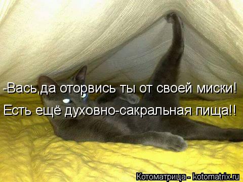 -Вась,да оторвись ты от своей миски! Есть ещё духовно-сакральная пища!!... Котоматрица: -Вась,да оторвись ты от своей миски! Есть ещё духовно-сакральная пища!!