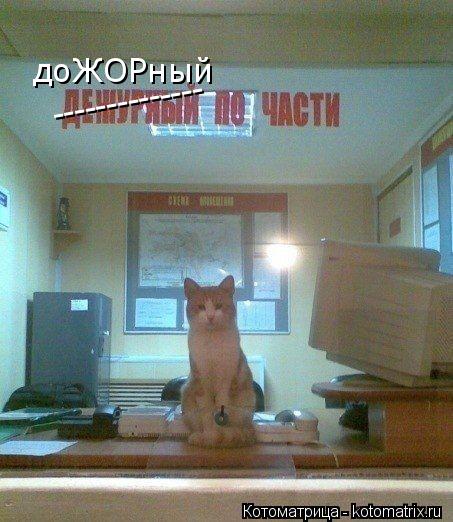-------------- доЖОРный... Котоматрица: -------------- доЖОРный