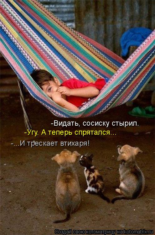 -Видать, сосиску стырил. -Угу. А теперь спрятался... -...И трескает втихаря!... Котоматрица: -Видать, сосиску стырил. -Угу. А теперь спрятался... -...И трескает втихаря!