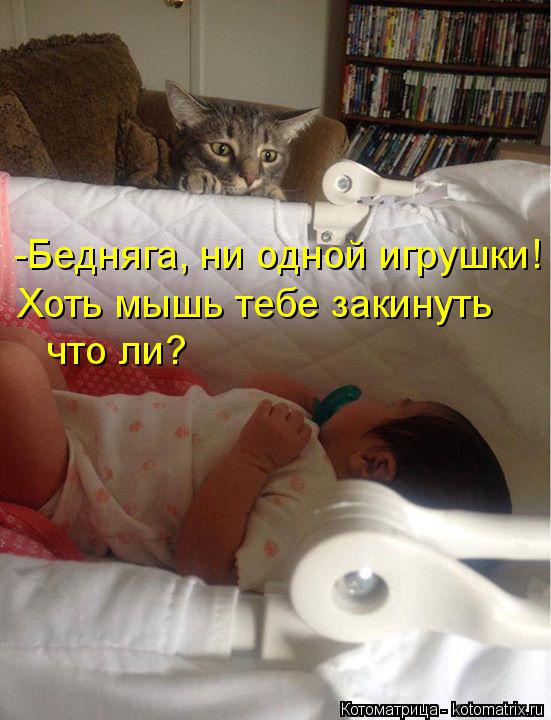 -Бедняга, ни одной игрушки! Хоть мышь тебе закинуть что ли?... Котоматрица: -Бедняга, ни одной игрушки! Хоть мышь тебе закинуть что ли?
