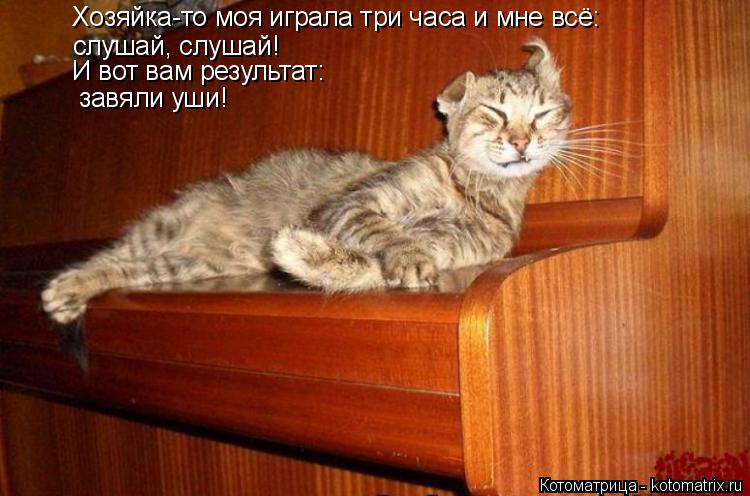 слушай, слушай! завяли уши! Хозяйка-то моя играла три часа и мне всё: И вот вам результат:... Котоматрица: слушай, слушай! завяли уши! Хозяйка-то моя играла три часа и мне всё: И вот вам результат: