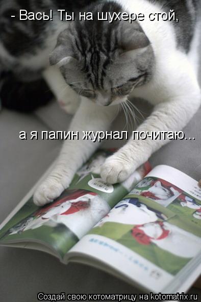 - Вась! Ты на шухере стой, а я папин журнал почитаю...... Котоматрица: - Вась! Ты на шухере стой, а я папин журнал почитаю...