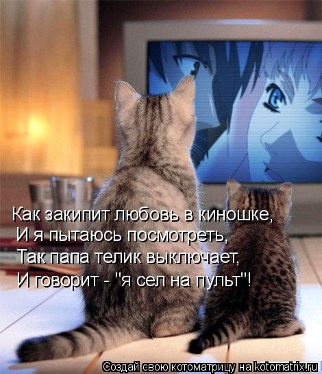 Как закипит любовь в киношке, И я пытаюсь посмотреть, Так папа телик выключает, И говорит - "я сел на... Котоматрица: Как закипит любовь в киношке, И я пытаюсь посмотреть, Так папа телик выключает, И говорит - "я сел на пульт"!
