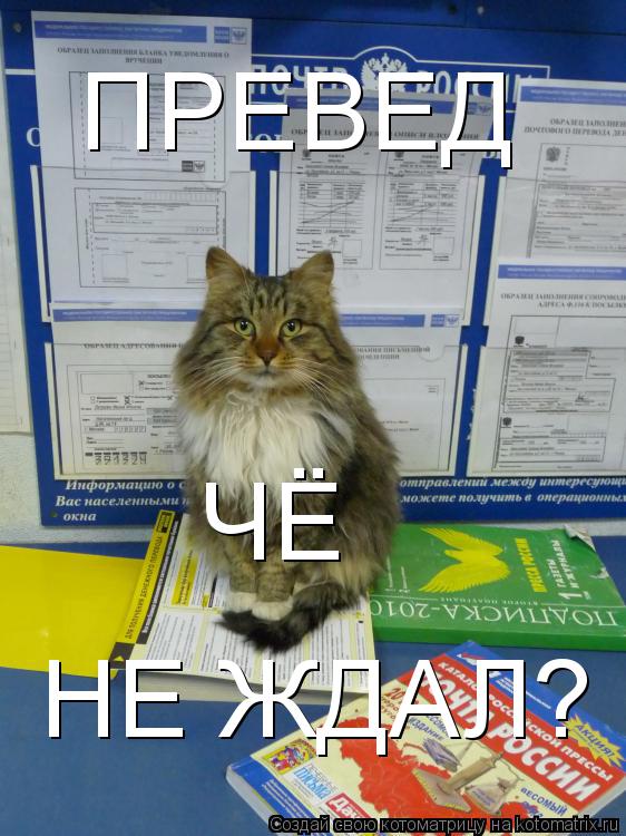 ПРЕВЕД ЧЁ НЕ ЖДАЛ?... Котоматрица: ПРЕВЕД ЧЁ НЕ ЖДАЛ?