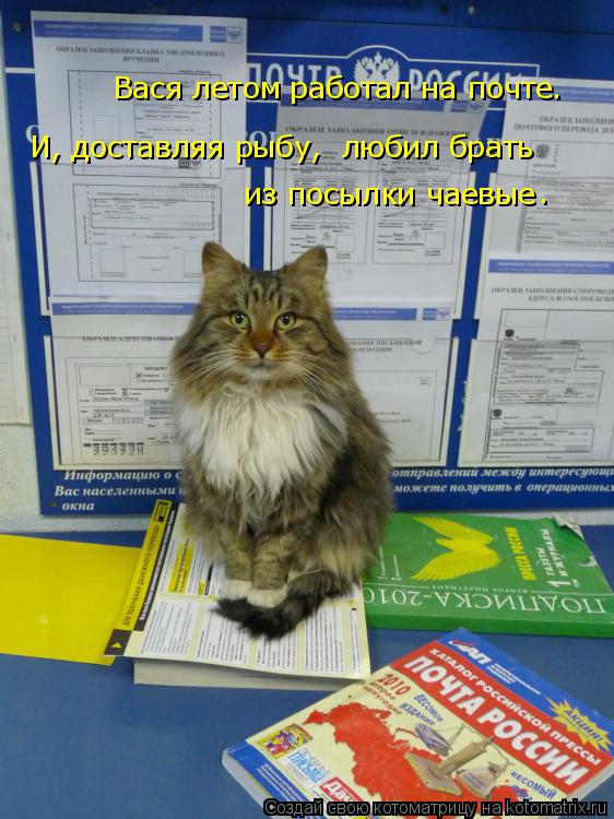 Вася летом работал на почте. И, доставляя рыбу, любил брать из посылки чаевые .... Котоматрица: Вася летом работал на почте. И, доставляя рыбу, любил брать из посылки чаевые .