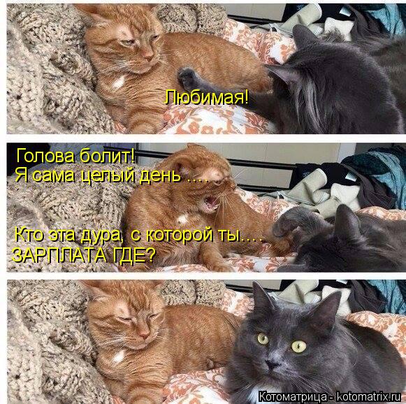 Любимая! Голова болит! Я сама целый день …. Кто эта дура, с которой ты…. ЗАРПЛАТА ГДЕ?... Котоматрица: Любимая! Голова болит! Я сама целый день …. Кто эта дура, с которой ты…. ЗАРПЛАТА ГДЕ?