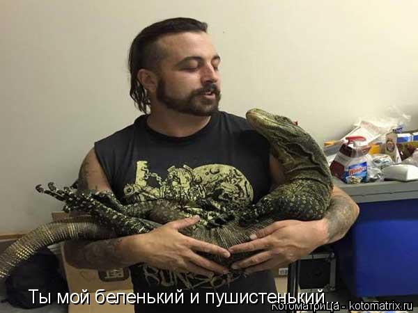 Ты мой беленький и пушистенький...... Котоматрица: Ты мой беленький и пушистенький...