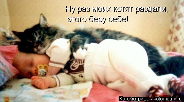 Ну раз моих котят раздали, этого беру себе!... Котоматрица: Ну раз моих котят раздали, этого беру себе!