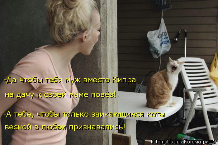 -Да чтобы тебя муж вместо Кипра -А тебе, чтобы только заикающиеся коты весной в любви признавались!... Котоматрица: -Да чтобы тебя муж вместо Кипра -А тебе, чтобы только заикающиеся коты весной в любви признавались! на дачу к своей маме повёз!