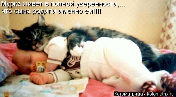 Мурка живёт в полной уверенности,... что сына родили именно ей!!!!... Котоматрица: Мурка живёт в полной уверенности,... что сына родили именно ей!!!!