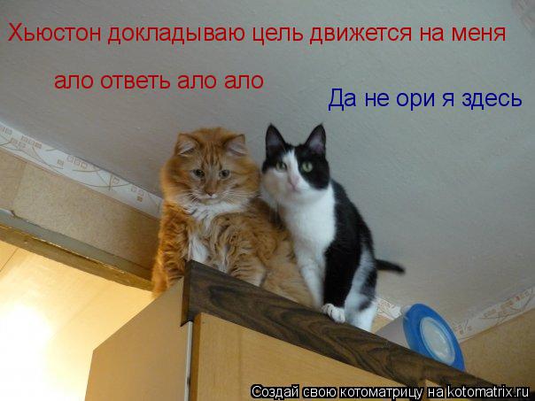 Хьюстон докладываю цель движется на меня ало ответь ало ало Да не ори я здесь... Котоматрица: Хьюстон докладываю цель движется на меня ало ответь ало ало Да не ори я здесь