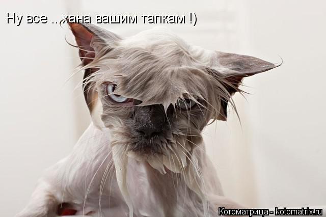 Ну все ...хана вашим тапкам !)... Котоматрица: Ну все ...хана вашим тапкам !)