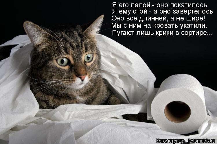 Я его лапой - оно покатилось Я ему стой - а оно завертелось Оно всё длинней, а не шире! Мы с ним на к... Котоматрица: Я его лапой - оно покатилось Я ему стой - а оно завертелось Оно всё длинней, а не шире! Мы с ним на кровать укатили. Пугают лишь крики в сортире.
