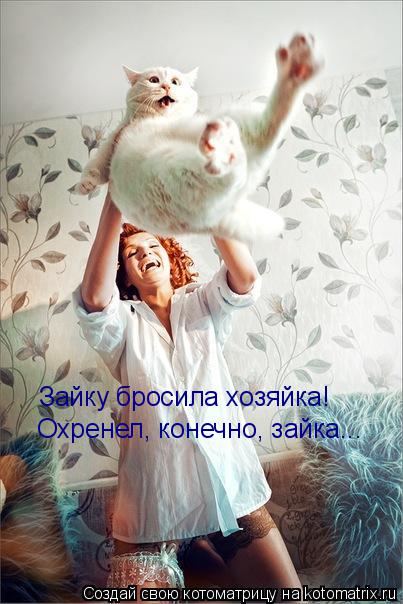 Зайку бросила хозяйка! Охренел, конечно, зайка...... Котоматрица: Зайку бросила хозяйка! Охренел, конечно, зайка...