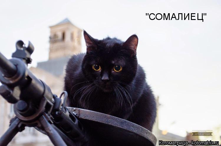 "СОМАЛИЕЦ"... Котоматрица: "СОМАЛИЕЦ"