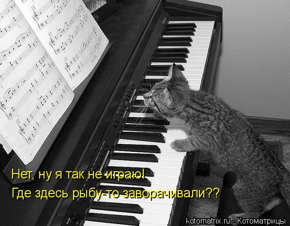 Нет, ну я так не играю! Где здесь рыбу-то заворачивали??... Котоматрица: Нет, ну я так не играю! Где здесь рыбу-то заворачивали??