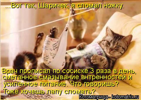 ...Вот так, Шаричек, я сломал ножку. Врач прописал по сосиске 3 раза в день, сметанное смазывание внт... Котоматрица: ...Вот так, Шаричек, я сломал ножку. Врач прописал по сосиске 3 раза в день, сметанное смазывание внтренностей и усиленное питание. Что говори