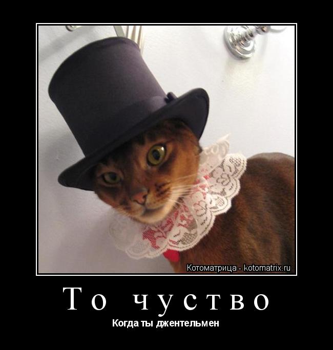 То чуство Когда ты джентельмен... Котоматрица: То чуство Когда ты джентельмен