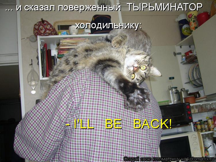 - I'LL BE BACK! ... и сказал поверженный ТЫРЬМИНАТОР холодильнику:... Котоматрица: - I'LL BE BACK! ... и сказал поверженный ТЫРЬМИНАТОР холодильнику: