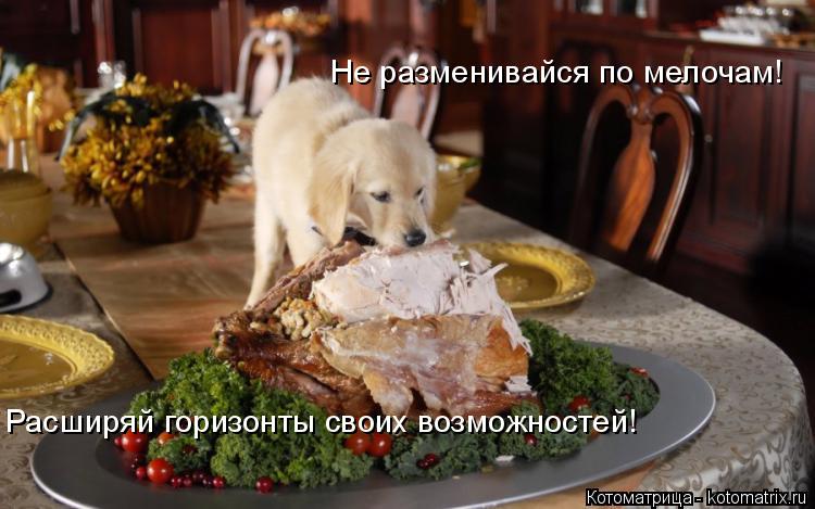 Не разменивайся по мелочам! Расширяй горизонты своих возможностей!... Котоматрица: Не разменивайся по мелочам! Расширяй горизонты своих возможностей!