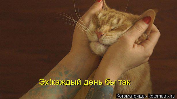 Эх!каждый день бы так... Котоматрица: Эх!каждый день бы так