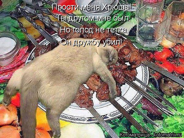 Прости меня Хрюша! Ты другом мне был. Но голод не тетка. Он дружбу убил!... Котоматрица: Прости меня Хрюша! Ты другом мне был. Но голод не тетка. Он дружбу убил!