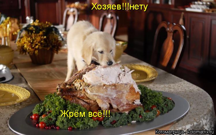 Хозяев!!!нету Жрём всё!!! Жрём всё!!!... Котоматрица: Хозяев!!!нету Жрём всё!!! Жрём всё!!!