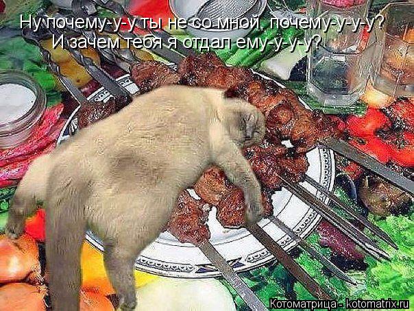 Ну почему-у-у ты не со мной, почему-у-у-у? Ну почему-у-у ты не со мной, почему-у-у-у? И зачем тебя я ... Котоматрица: Ну почему-у-у ты не со мной, почему-у-у-у? Ну почему-у-у ты не со мной, почему-у-у-у? И зачем тебя я отдал ему-у-у-у? И зачем тебя я отдал ему-у-у-у?