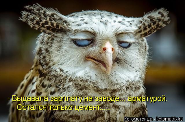- Выдавала зарплату на заводе... арматурой. Остался только цемент........ Котоматрица: - Выдавала зарплату на заводе... арматурой. Остался только цемент.....