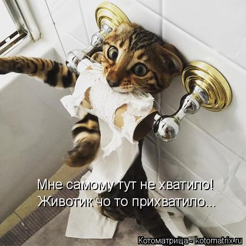Мне самому тут не хватило! Животик чо то прихватило...... Котоматрица: Мне самому тут не хватило! Животик чо то прихватило...