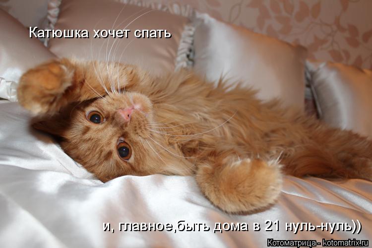 Катюшка хочет спать и, главное,быть дома в 21 нуль-нуль)) и, главное,быть дома в 21 нуль-нуль))... Котоматрица: Катюшка хочет спать и, главное,быть дома в 21 нуль-нуль)) и, главное,быть дома в 21 нуль-нуль))