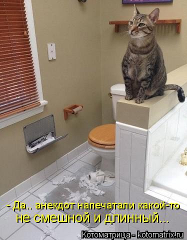- Да.. анекдот напечатали какой-то не смешной и длинный...... Котоматрица: - Да.. анекдот напечатали какой-то не смешной и длинный...