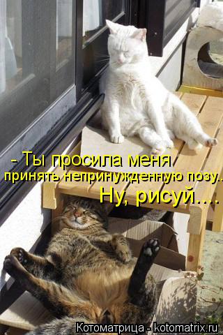 - Ты просила меня принять непринужденную позу... Ну, рисуй....... Котоматрица: - Ты просила меня принять непринужденную позу... Ну, рисуй....