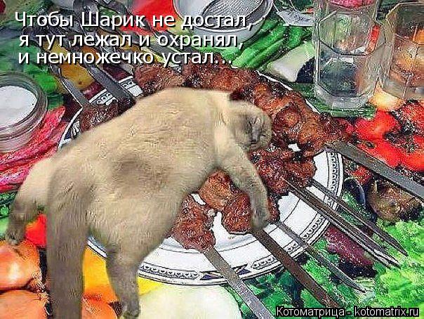 Чтобы Шарик не достал, я тут лежал и охранял, и немножечко устал...... Котоматрица: Чтобы Шарик не достал, я тут лежал и охранял, и немножечко устал...