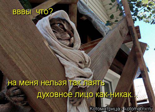вввы что? на меня нельзя так лаять духовное лицо как-никак...... Котоматрица: вввы что? на меня нельзя так лаять духовное лицо как-никак...