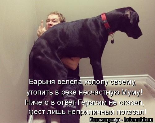 Ничего в ответ Герасим не сказал, жест лишь неприличный показал! Барыня велела холопу своему, утопит... Котоматрица: Ничего в ответ Герасим не сказал, жест лишь неприличный показал! Барыня велела холопу своему, утопить в реке несчастную Муму!