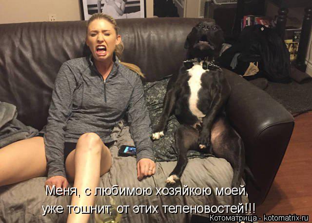 Меня, с любимою хозяйкою моей, уже тошнит, от этих теленовостей!!!... Котоматрица: Меня, с любимою хозяйкою моей, уже тошнит, от этих теленовостей!!!