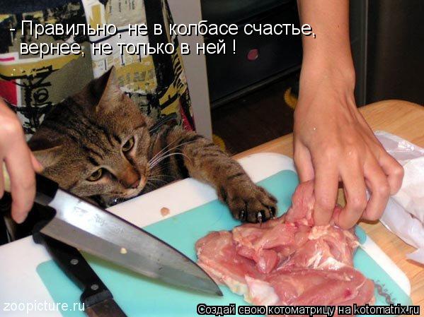 - Правильно, не в колбасе счастье, вернее, не только в ней !... Котоматрица: - Правильно, не в колбасе счастье, вернее, не только в ней !