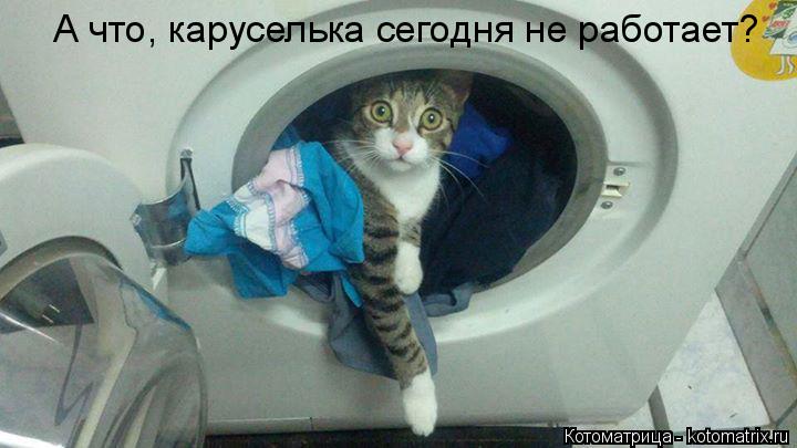 А что, каруселька сегодня не работает?... Котоматрица: А что, каруселька сегодня не работает?