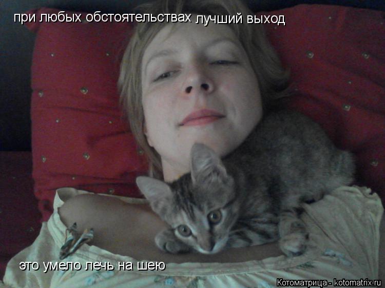 при любых обстоятельствах лучший выход это умело лечь на шею... Котоматрица: при любых обстоятельствах лучший выход это умело лечь на шею