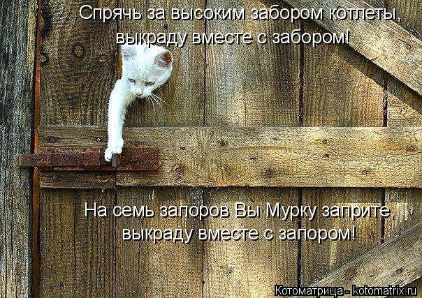 выкраду вместе с запором! На семь запоров Вы Мурку заприте, Спрячь за высоким забором котлеты, выкрад... Котоматрица: выкраду вместе с запором! На семь запоров Вы Мурку заприте, Спрячь за высоким забором котлеты, выкраду вместе с забором!