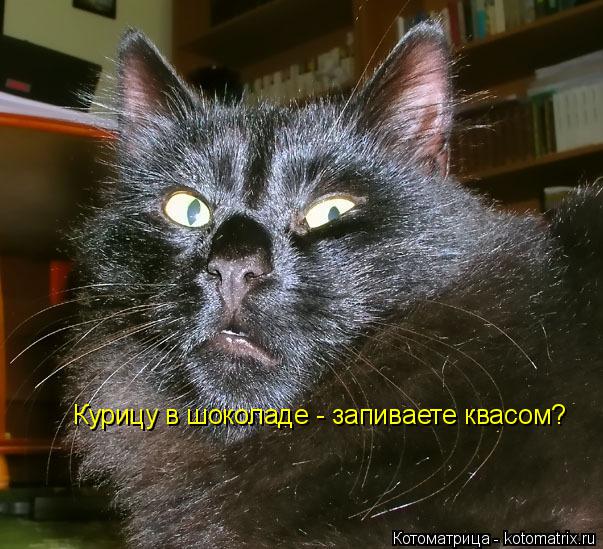 Курицу в шоколаде - запиваете квасом?... Котоматрица: Курицу в шоколаде - запиваете квасом?