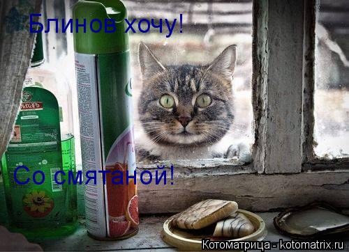Блинов хочу Блинов хочу! Со смятаной!... Котоматрица: Блинов хочу Блинов хочу! Со смятаной!