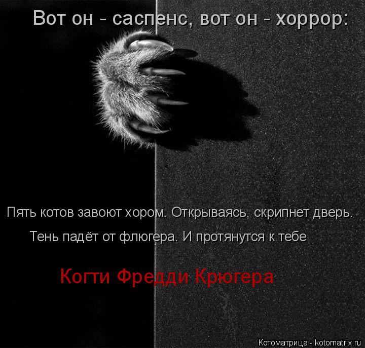 Вот он - саспенс, вот он - хоррор: Пять котов завоют хором. Открываясь, скрипнет дверь. Тень падёт от... Котоматрица: Вот он - саспенс, вот он - хоррор: Пять котов завоют хором. Открываясь, скрипнет дверь. Тень падёт от флюгера. И протянутся к тебе Когти Фредди