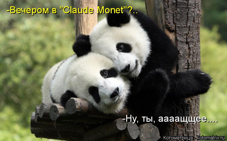 -Вечером в "Claude Monet"?.. -Ну, ты, аааащщее....... Котоматрица: -Вечером в "Claude Monet"?.. -Ну, ты, аааащщее....