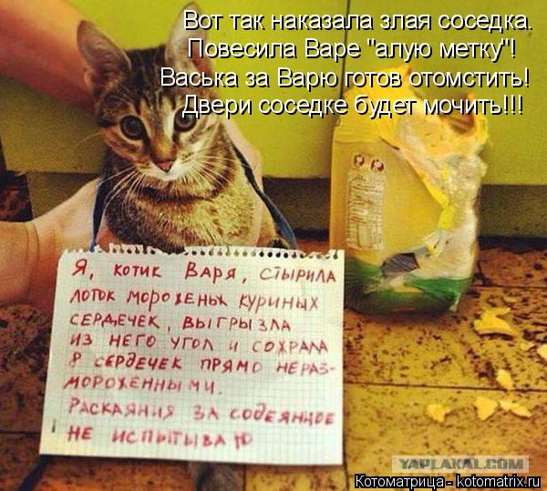 Вот так наказала злая соседка. Двери соседке будет мочить!!! Повесила Варе "алую метку"! Васька за Ва... Котоматрица: Вот так наказала злая соседка. Двери соседке будет мочить!!! Повесила Варе "алую метку"! Васька за Варю готов отомстить!